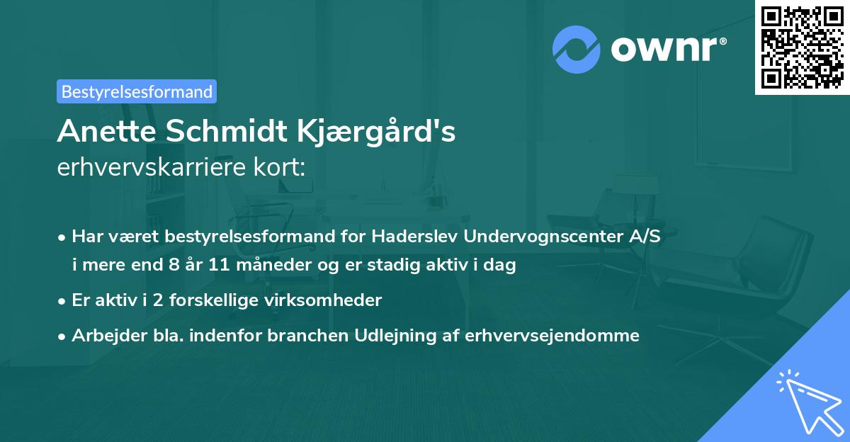 Anette Schmidt Kjærgård's erhvervskarriere kort