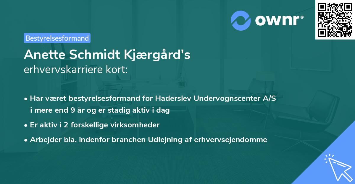 Anette Schmidt Kjærgård's erhvervskarriere kort