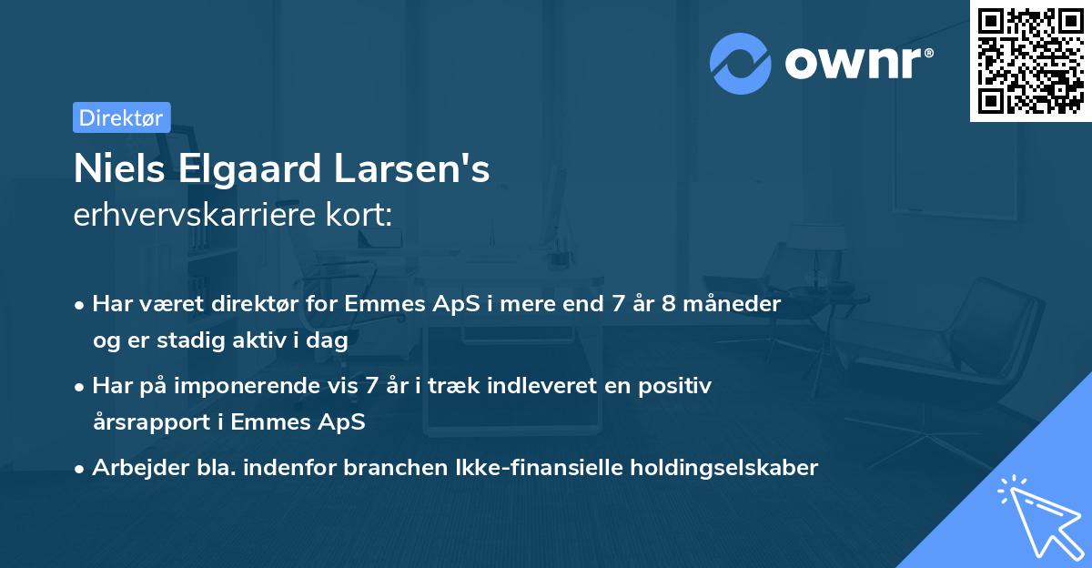 Niels Elgaard Larsen's erhvervskarriere kort