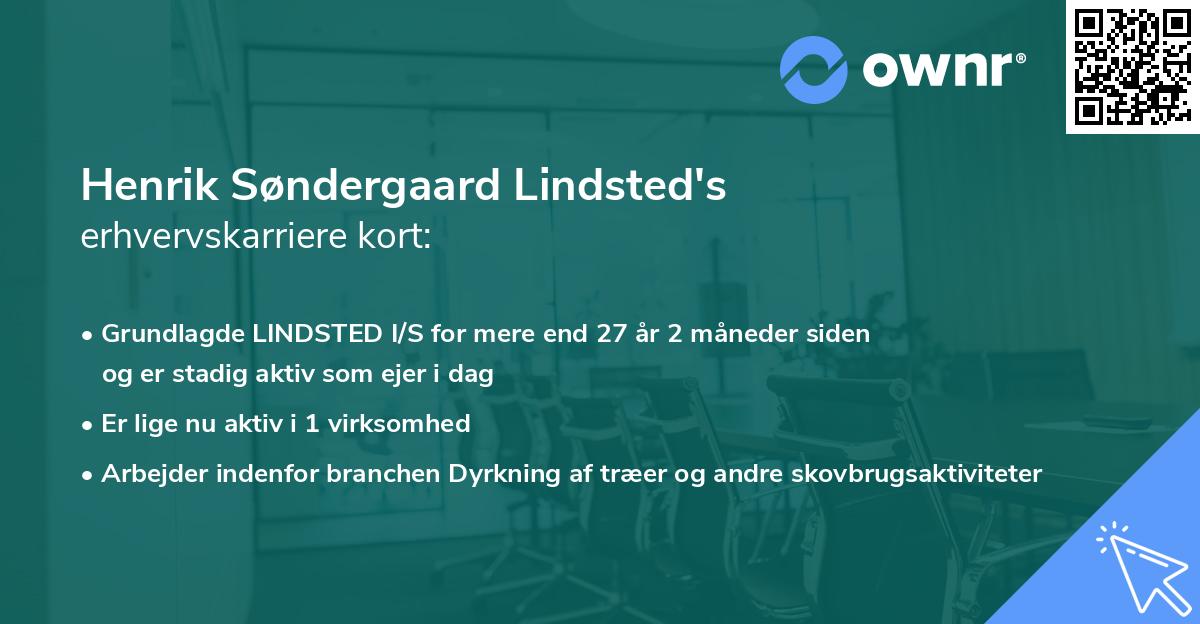 Henrik Søndergaard Lindsted's erhvervskarriere kort