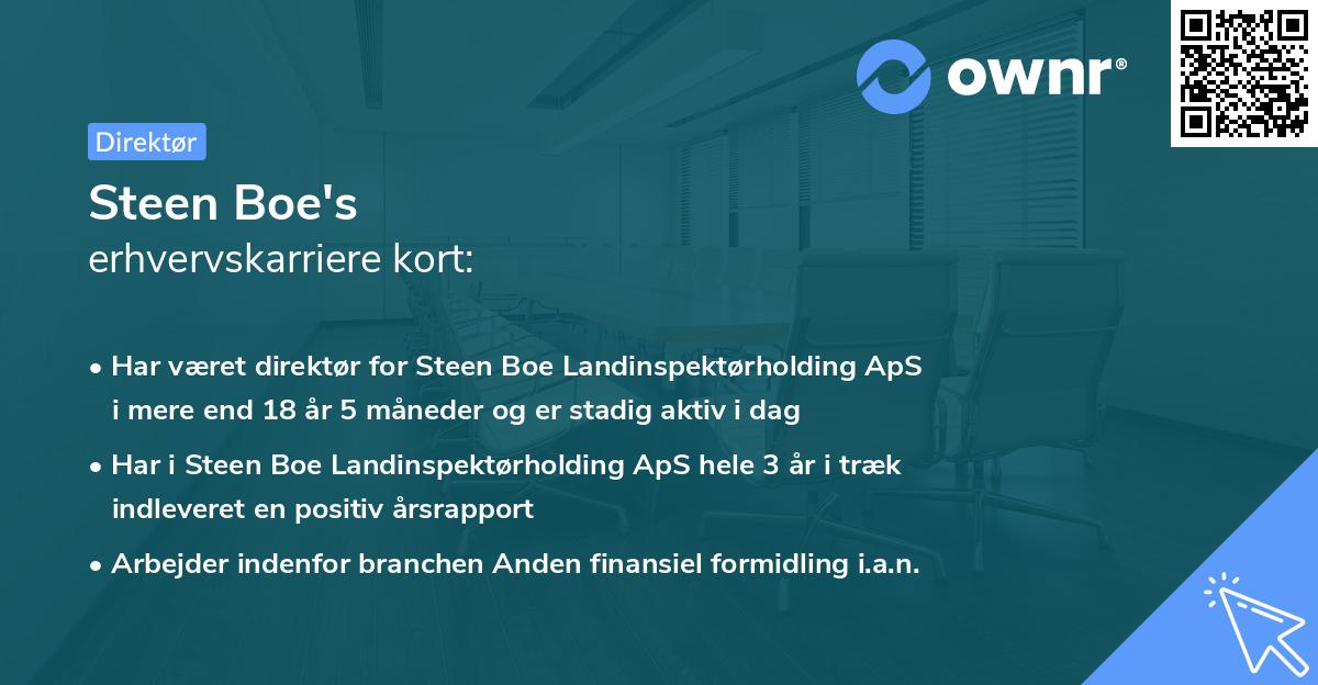 Steen Boe's erhvervskarriere kort