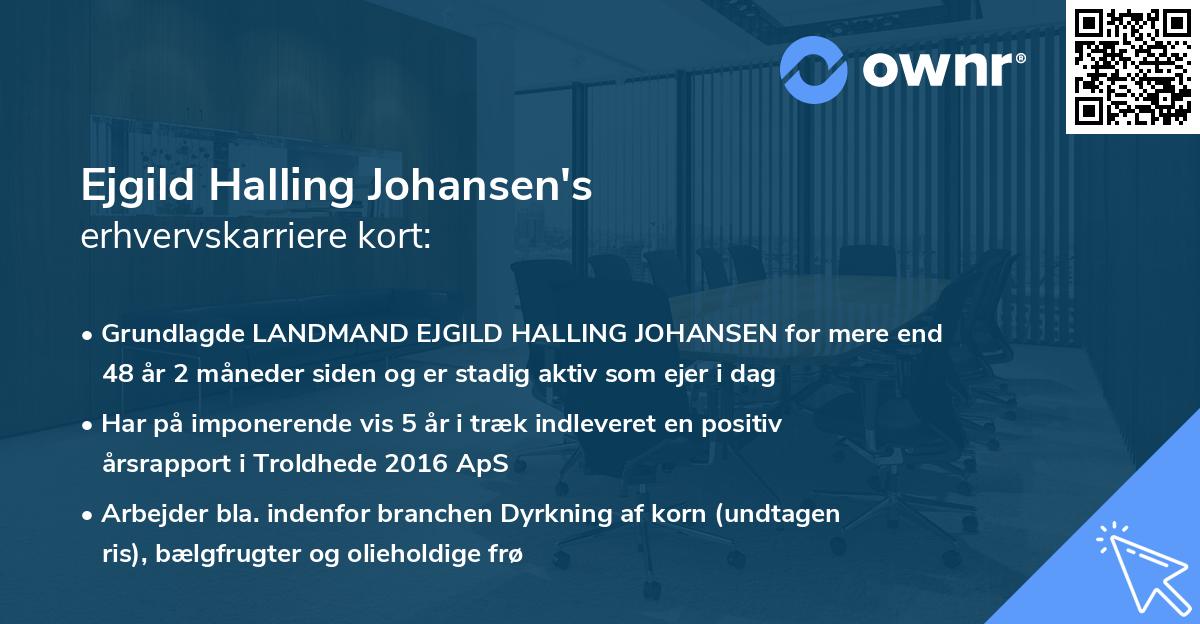 Ejgild Halling Johansen's erhvervskarriere kort