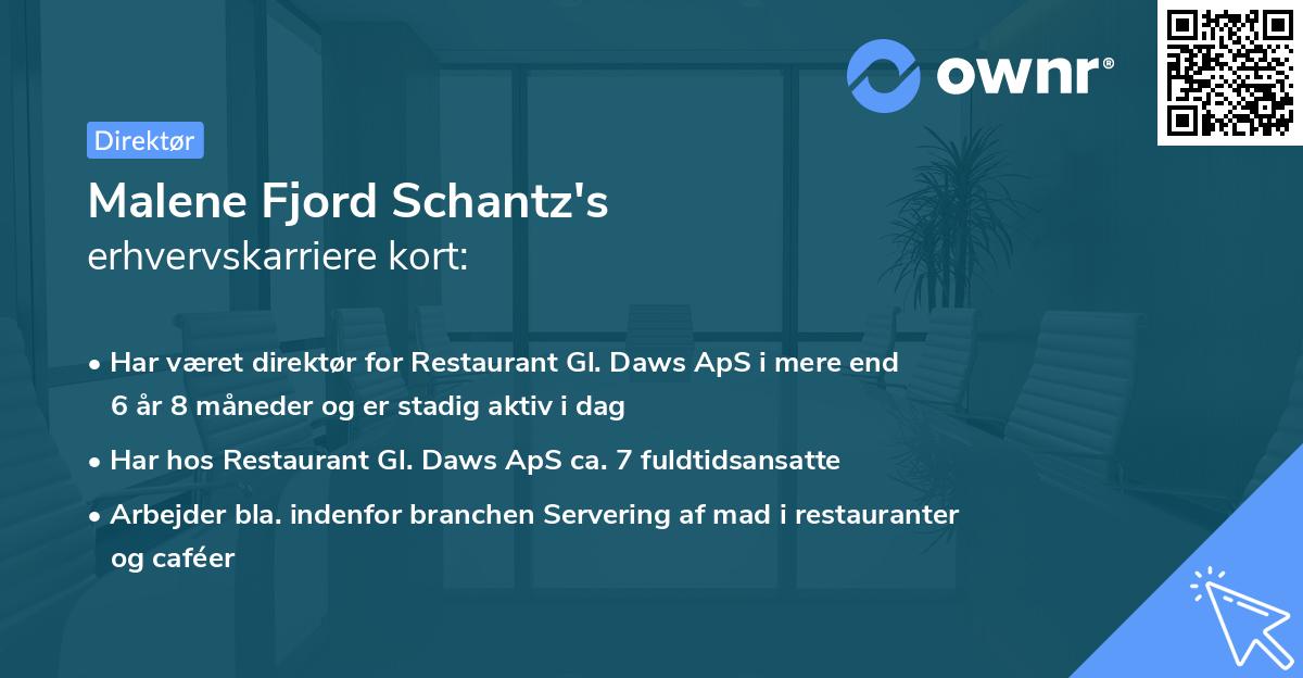 Malene Fjord Schantz's erhvervskarriere kort