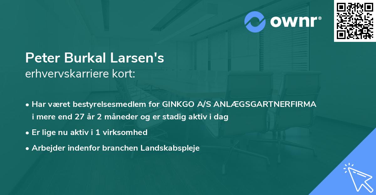 Peter Burkal Larsen's erhvervskarriere kort