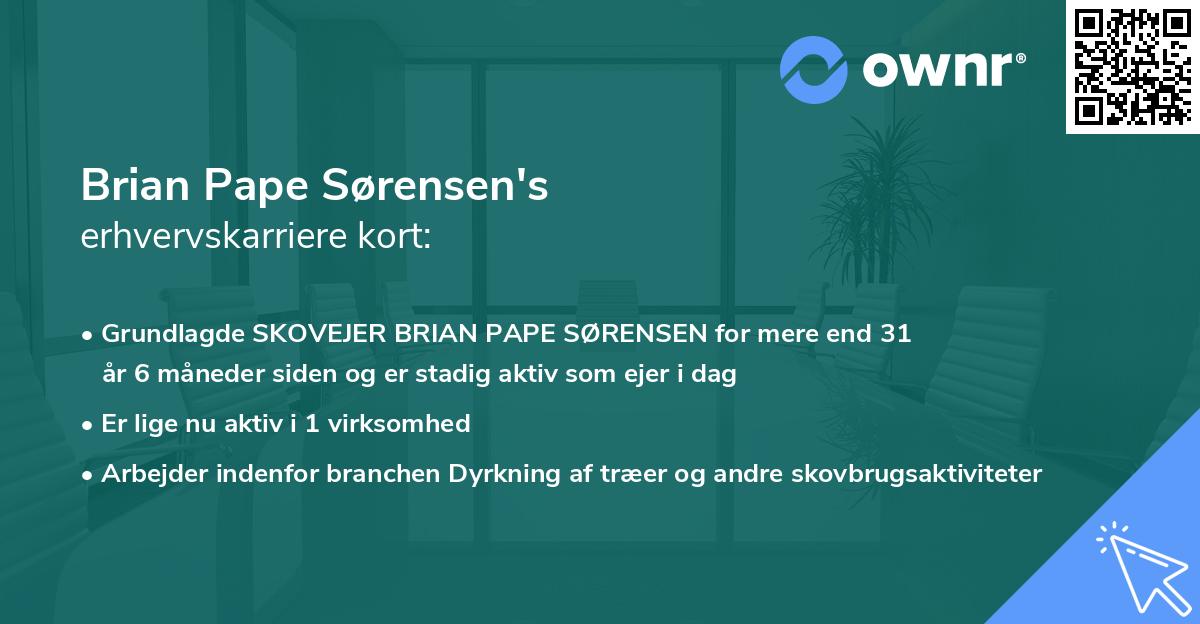 Brian Pape Sørensen's erhvervskarriere kort