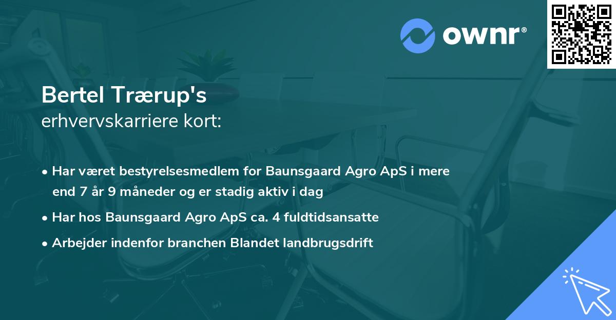 Bertel Trærup's erhvervskarriere kort