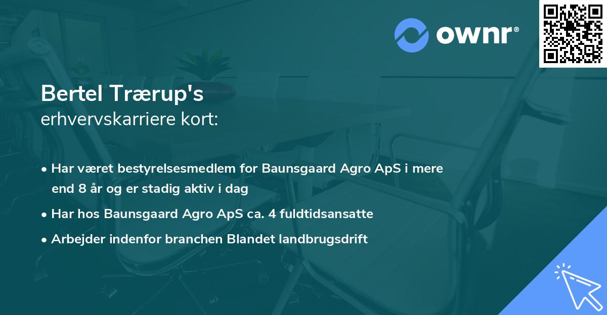 Bertel Trærup's erhvervskarriere kort