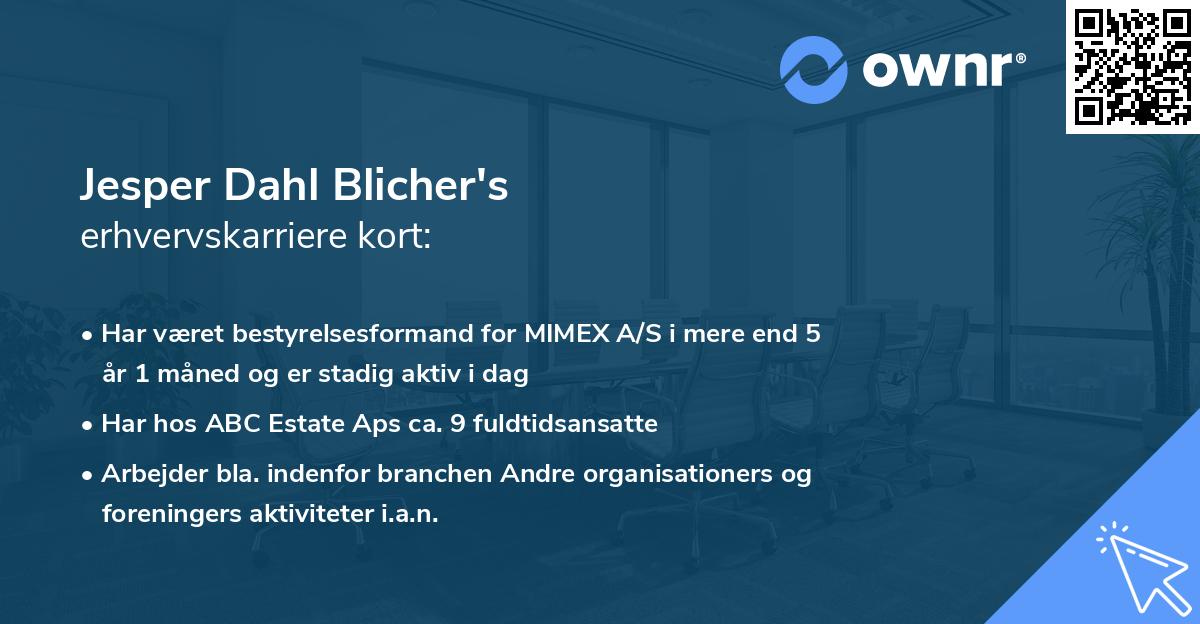Jesper Dahl Blicher's erhvervskarriere kort