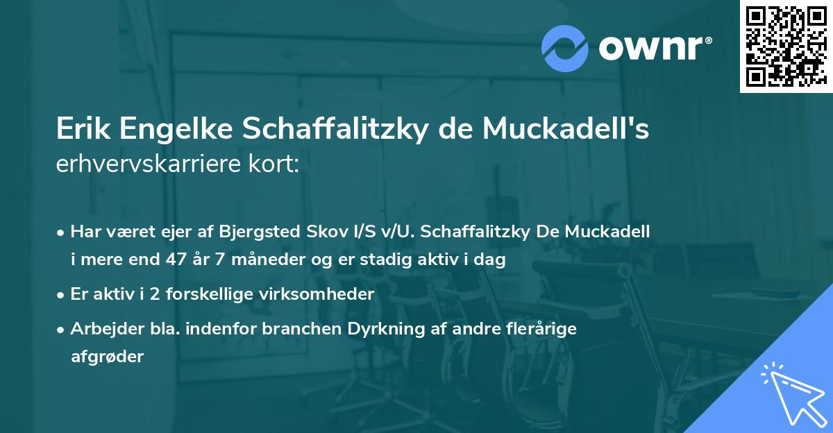 Erik Engelke Schaffalitzky de Muckadell's erhvervskarriere kort