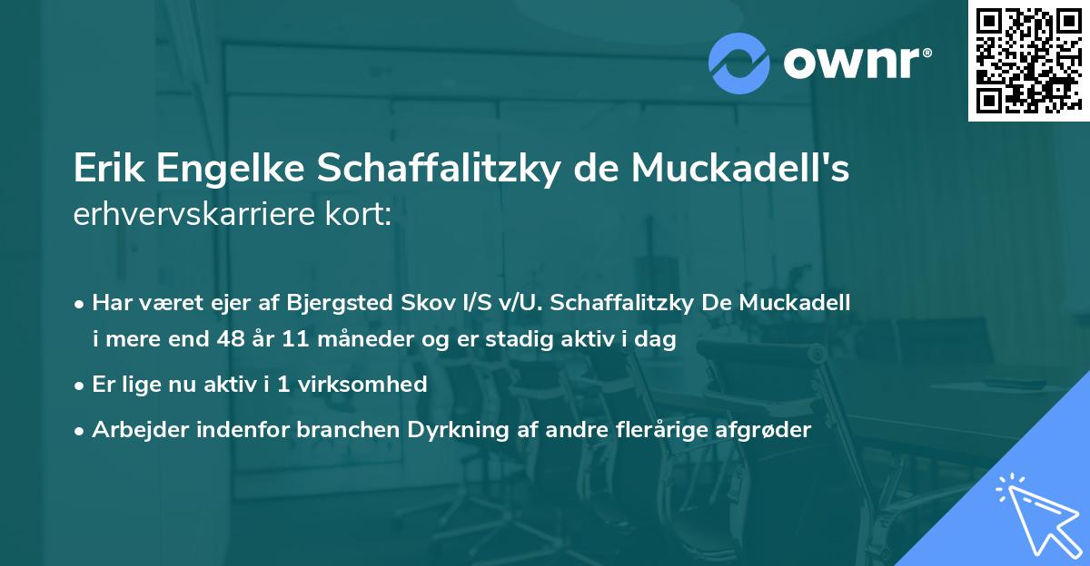 Erik Engelke Schaffalitzky de Muckadell's erhvervskarriere kort