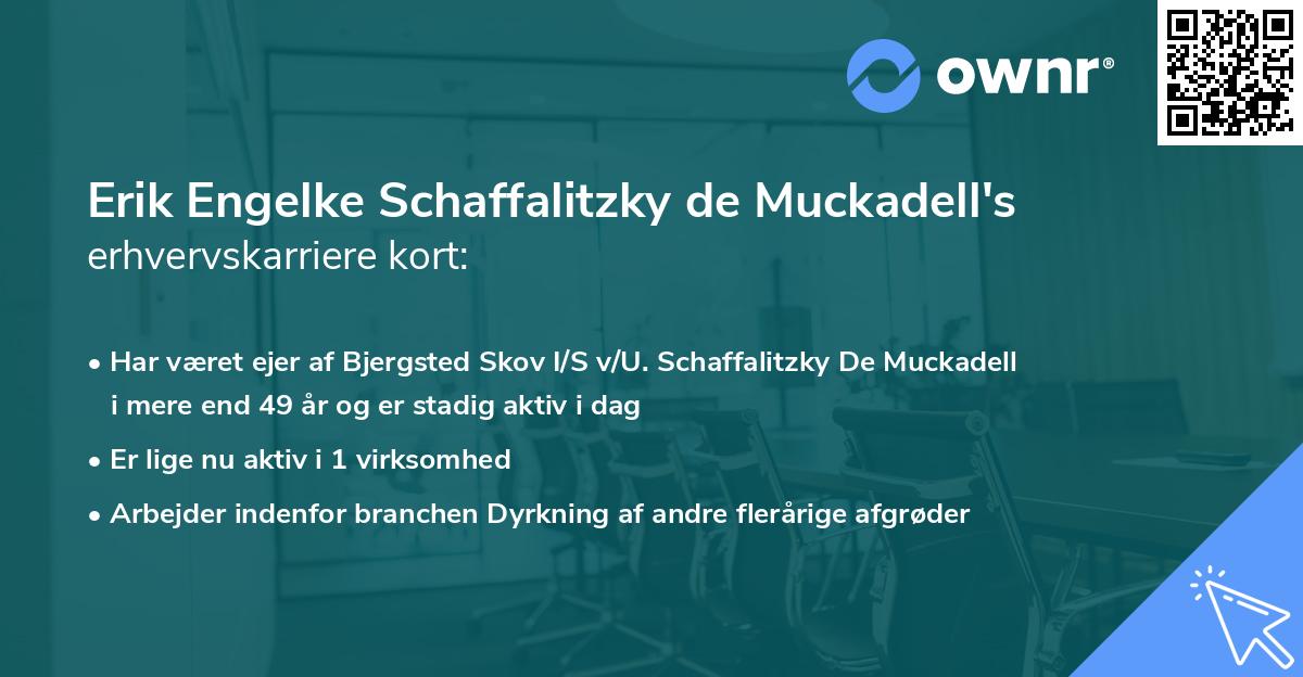 Erik Engelke Schaffalitzky de Muckadell's erhvervskarriere kort
