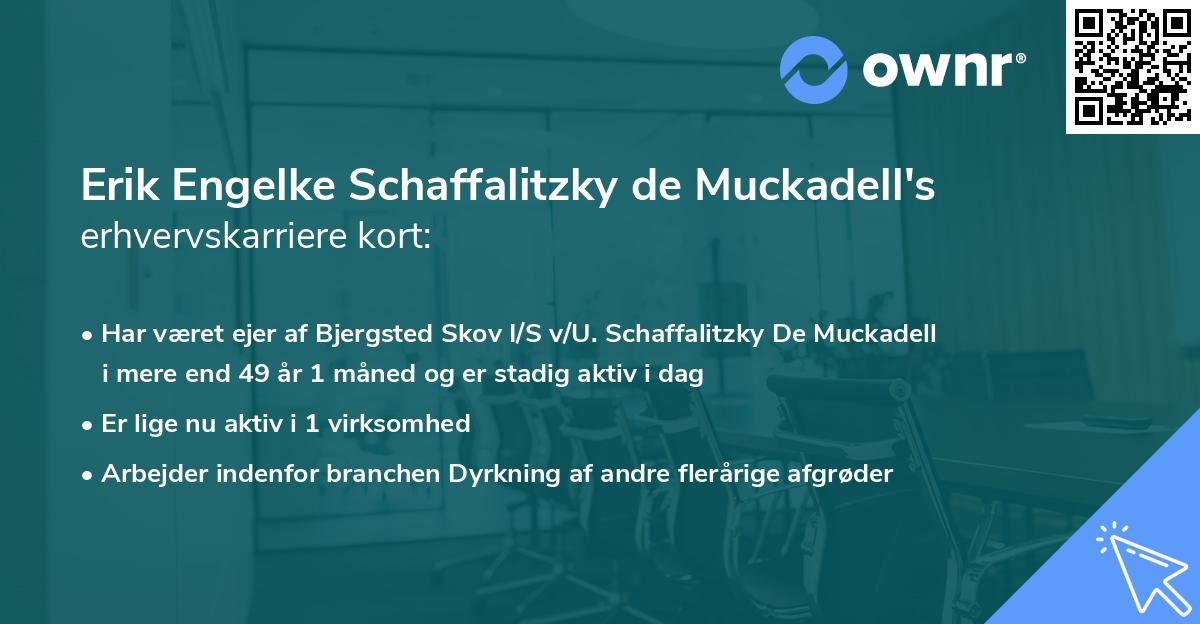 Erik Engelke Schaffalitzky de Muckadell's erhvervskarriere kort