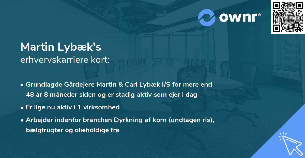 Martin Lybæk's erhvervskarriere kort