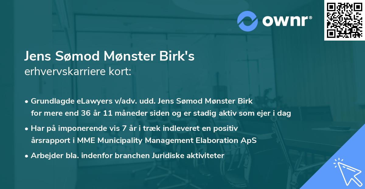 Jens Sømod Mønster Birk's erhvervskarriere kort