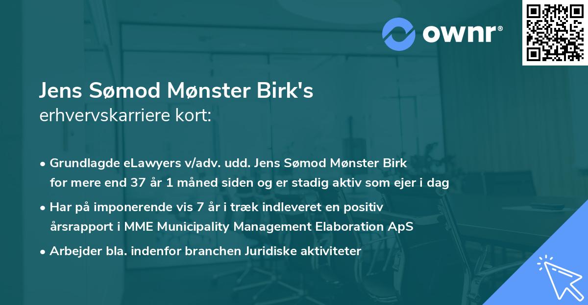 Jens Sømod Mønster Birk's erhvervskarriere kort