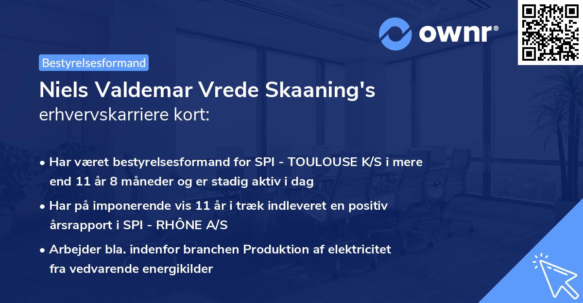 Niels Valdemar Vrede Skaaning's erhvervskarriere kort