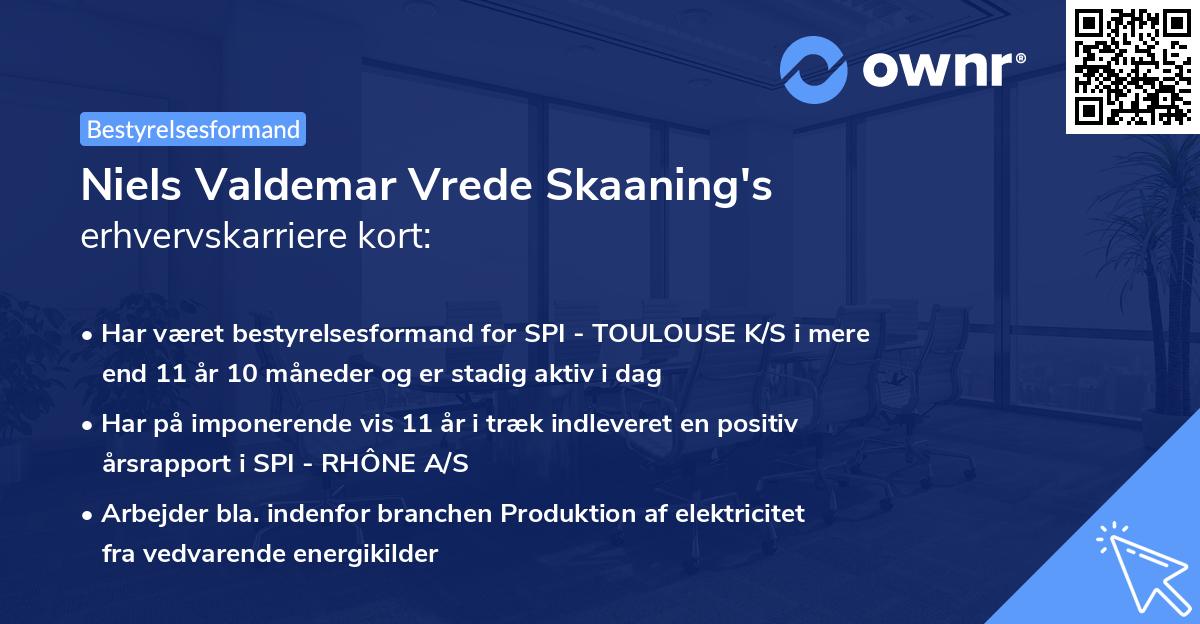 Niels Valdemar Vrede Skaaning's erhvervskarriere kort