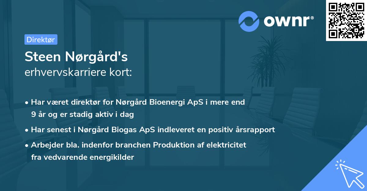 Steen Nørgård's erhvervskarriere kort