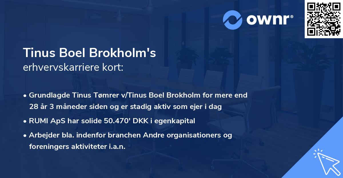 Tinus Boel Brokholm's erhvervskarriere kort