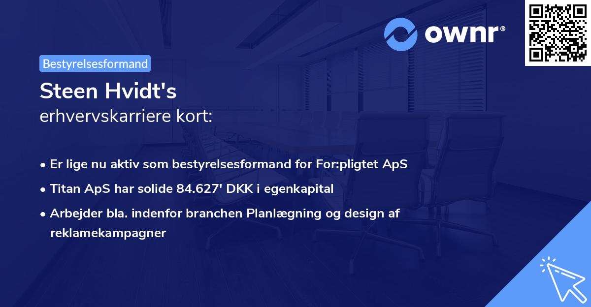 Steen Hvidt's erhvervskarriere kort