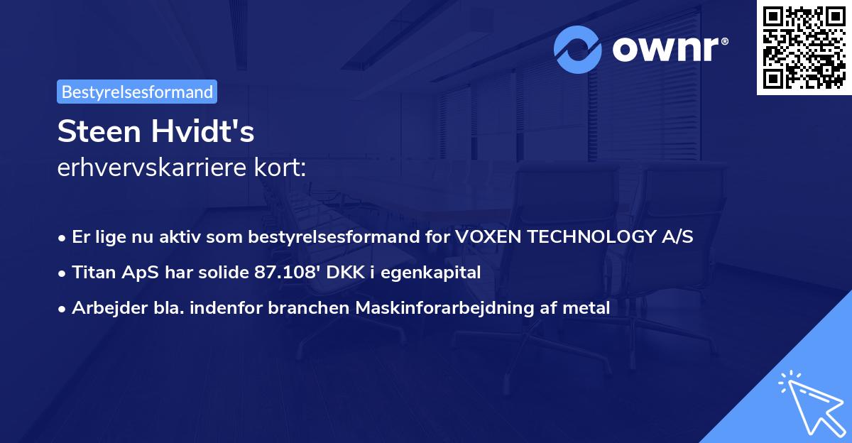 Steen Hvidt's erhvervskarriere kort