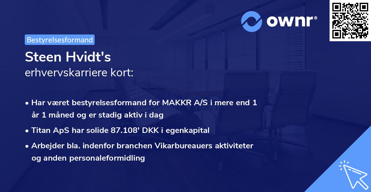 Steen Hvidt's erhvervskarriere kort