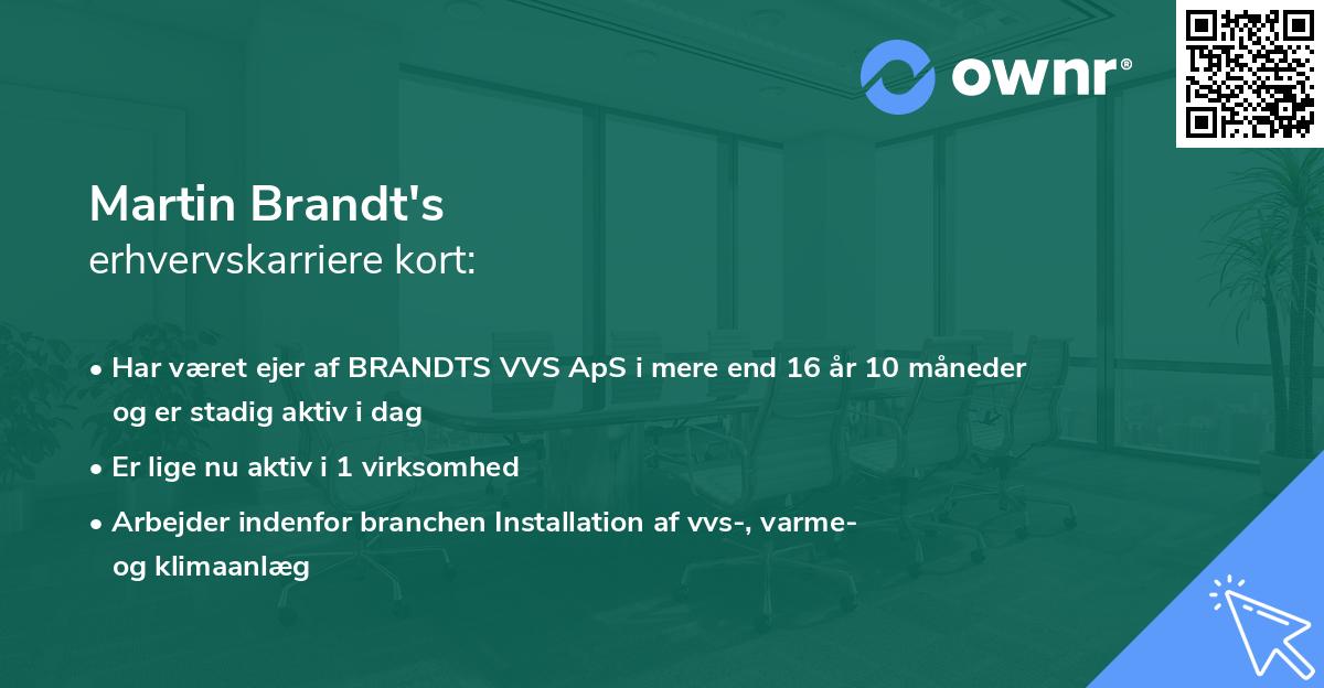 Martin Brandt's erhvervskarriere kort