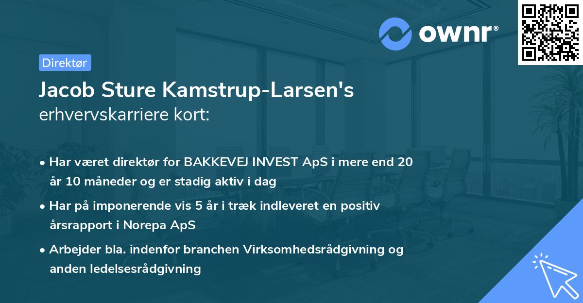 Jacob Sture Kamstrup-Larsen's erhvervskarriere kort