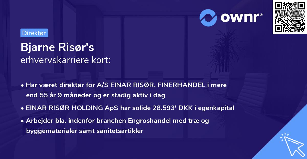 Bjarne Risør's erhvervskarriere kort