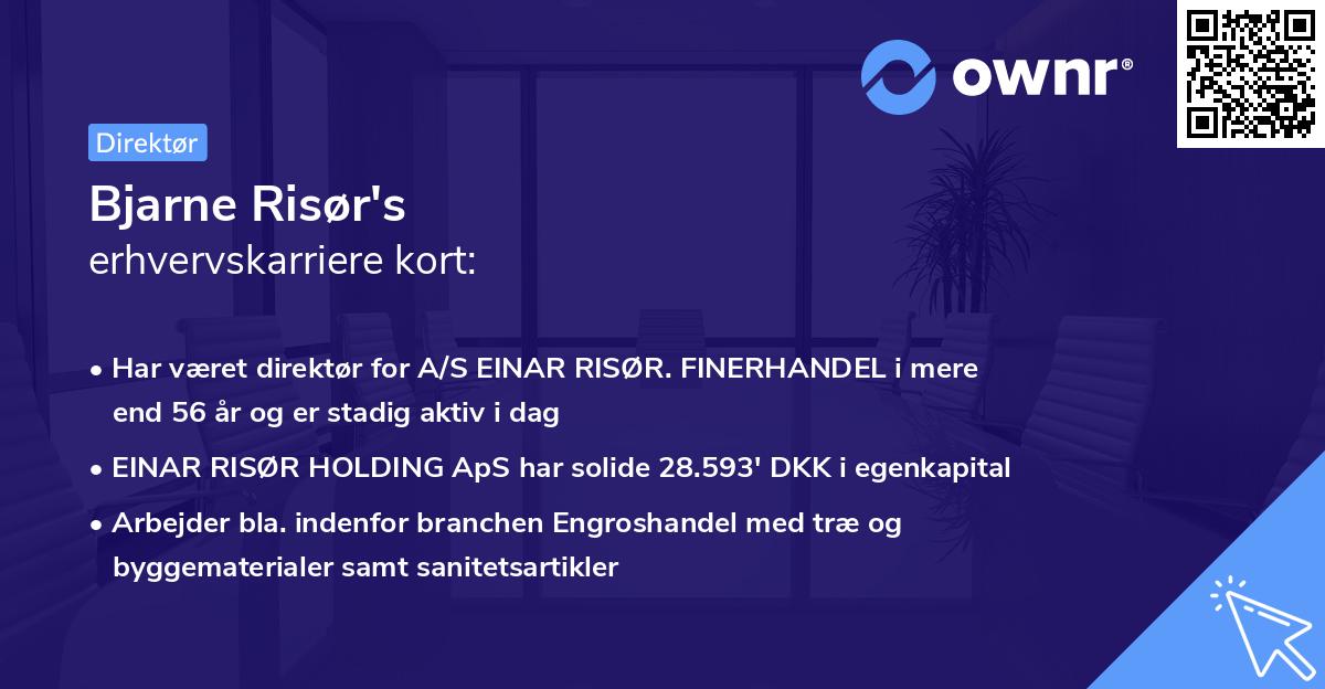 Bjarne Risør's erhvervskarriere kort