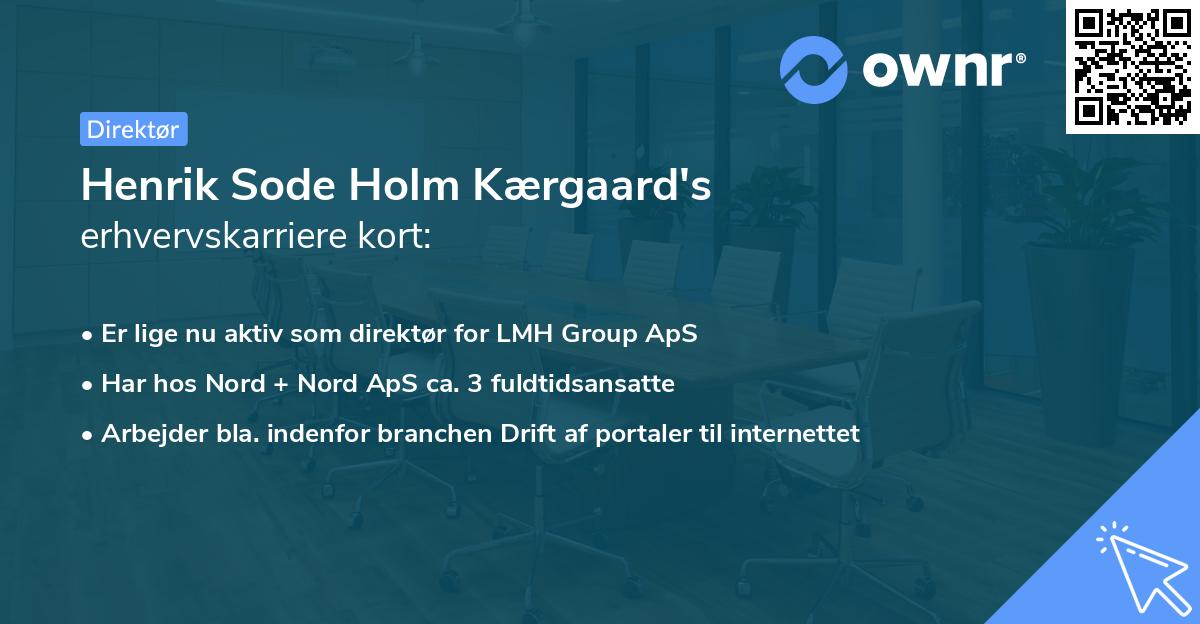 Henrik Sode Holm Kærgaard's erhvervskarriere kort