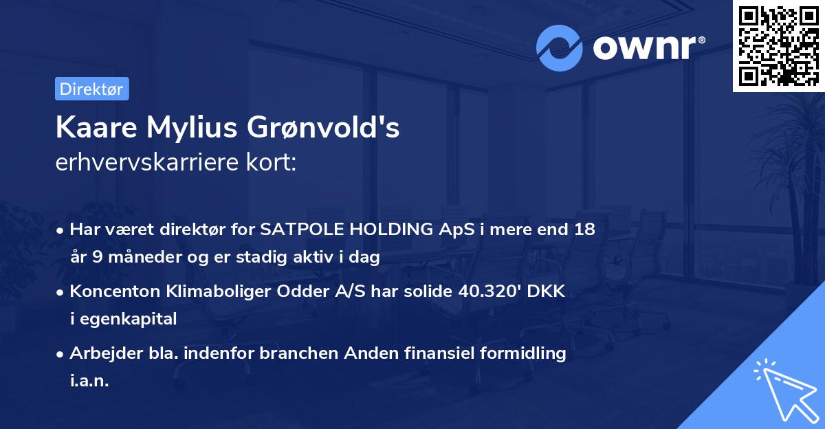 Kaare Mylius Grønvold's erhvervskarriere kort