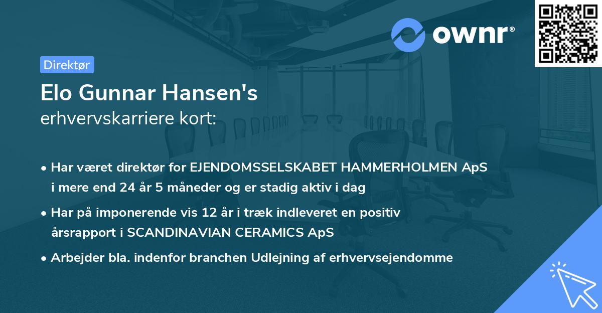 Elo Gunnar Hansen's erhvervskarriere kort