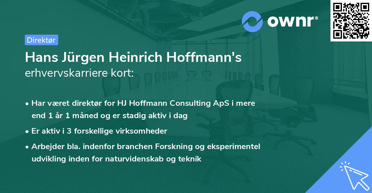 Hans Jürgen Heinrich Hoffmann's erhvervskarriere kort