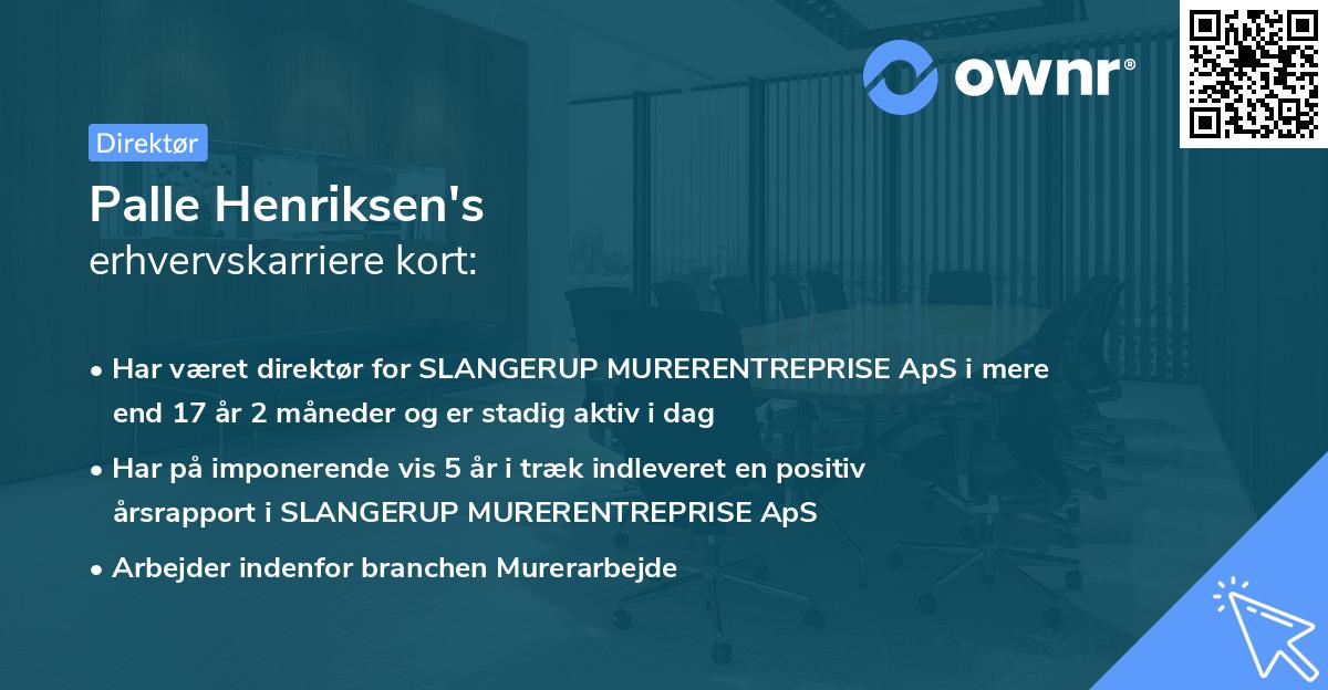 Palle Henriksen's erhvervskarriere kort