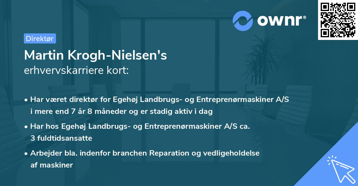 Martin Krogh-Nielsen's erhvervskarriere kort