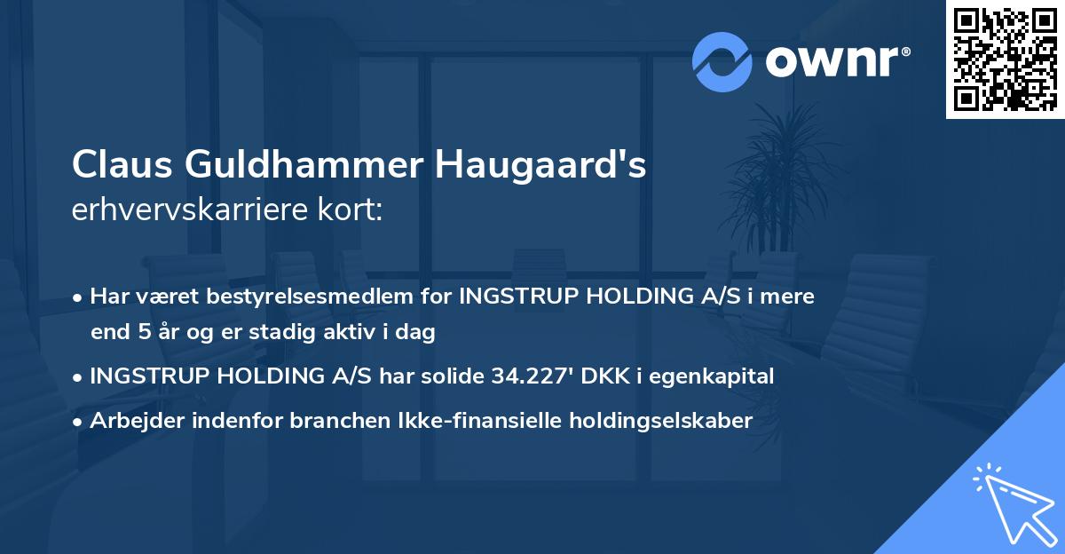 Claus Guldhammer Haugaard's erhvervskarriere kort