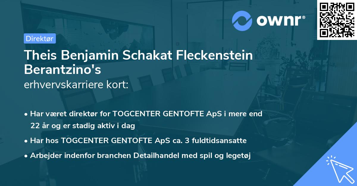 Theis Benjamin Schakat Fleckenstein Berantzino's erhvervskarriere kort
