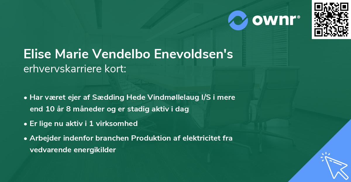 Elise Marie Vendelbo Enevoldsen's erhvervskarriere kort