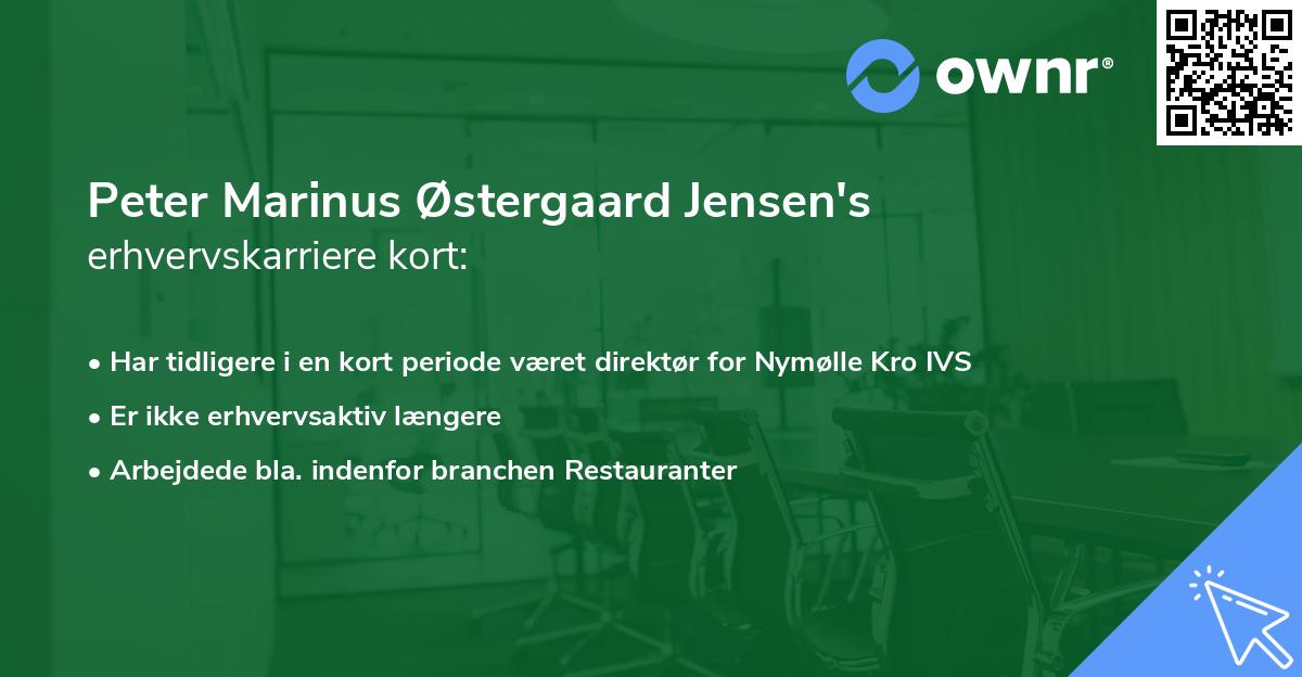 Peter Marinus Østergaard Jensen's erhvervskarriere kort