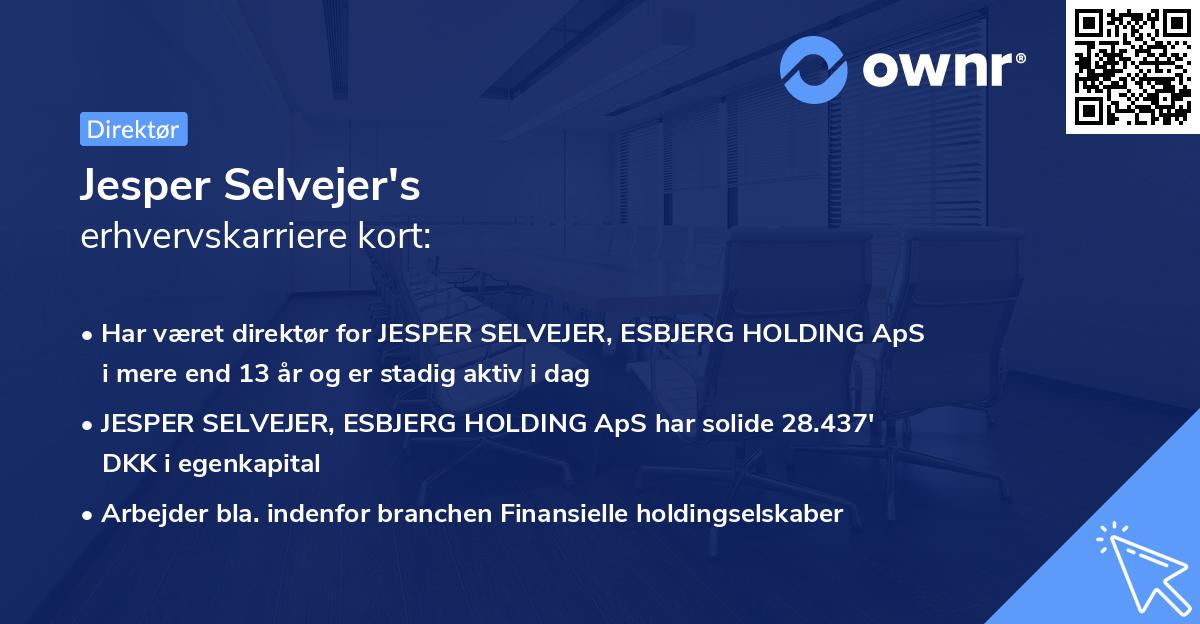Jesper Selvejer's erhvervskarriere kort