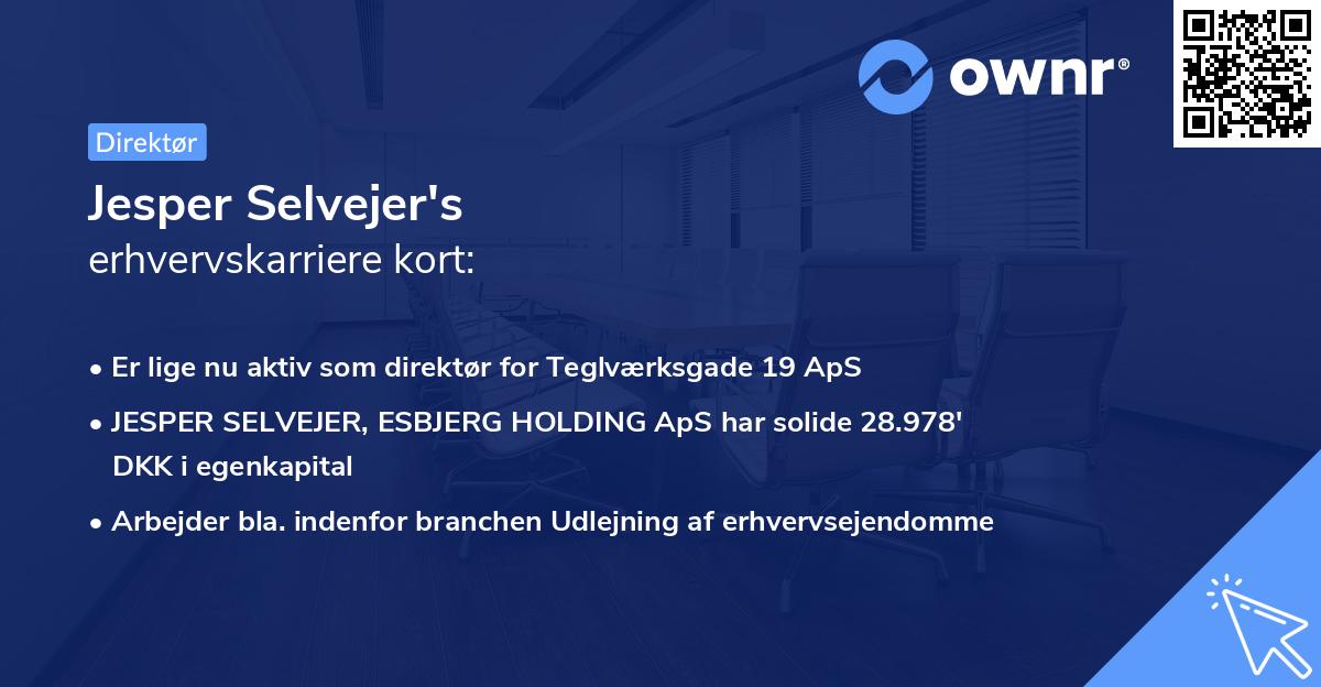 Jesper Selvejer's erhvervskarriere kort