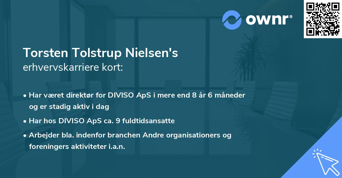 Torsten Tolstrup Nielsen's erhvervskarriere kort