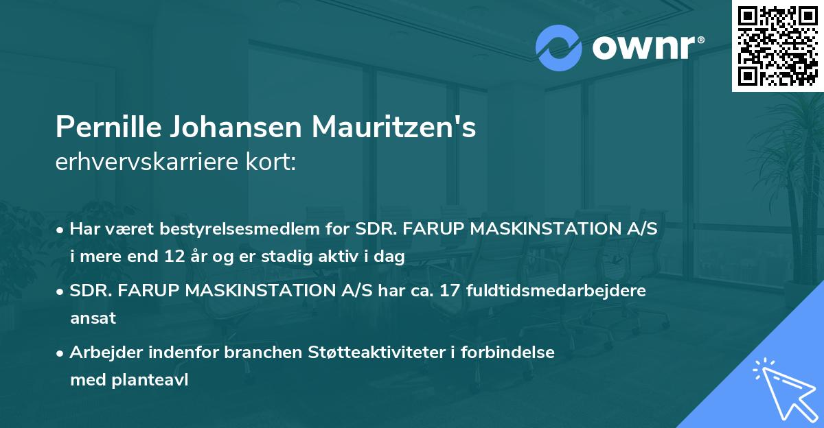 Pernille Johansen Mauritzen's erhvervskarriere kort