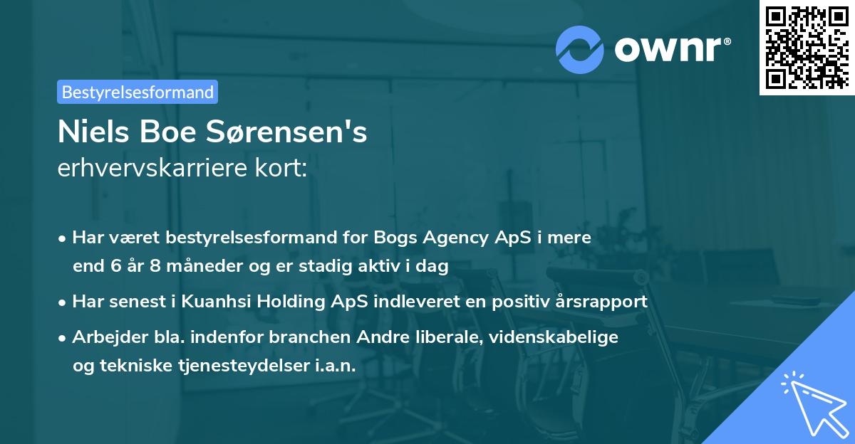Niels Boe Sørensen's erhvervskarriere kort