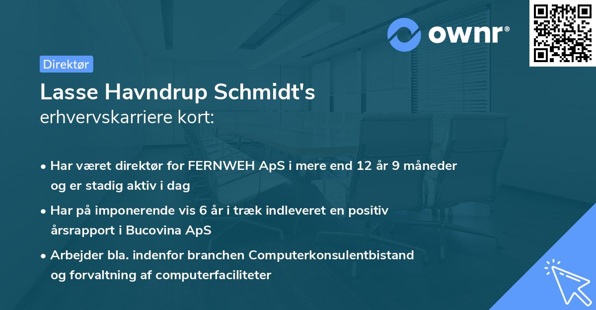 Lasse Havndrup Schmidt's erhvervskarriere kort