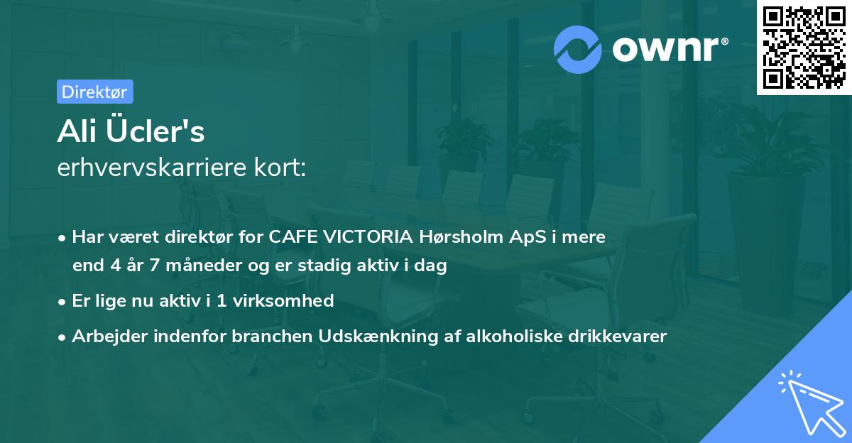 Ali Ücler's erhvervskarriere kort