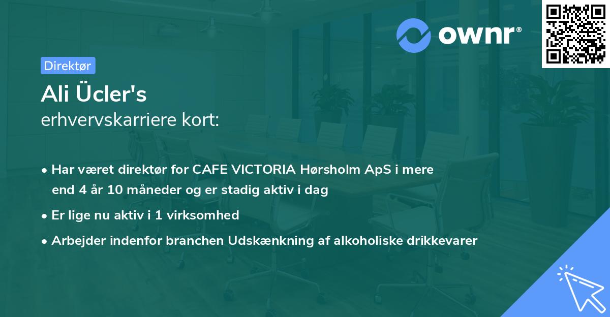 Ali Ücler's erhvervskarriere kort