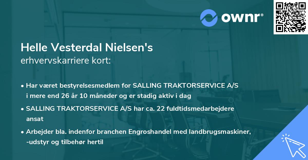 Helle Vesterdal Nielsen's erhvervskarriere kort