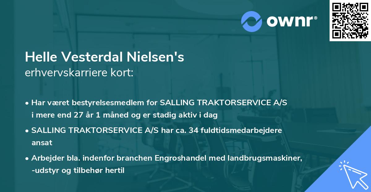 Helle Vesterdal Nielsen's erhvervskarriere kort